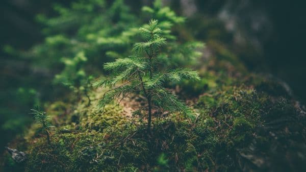 私たちの惑星を守る