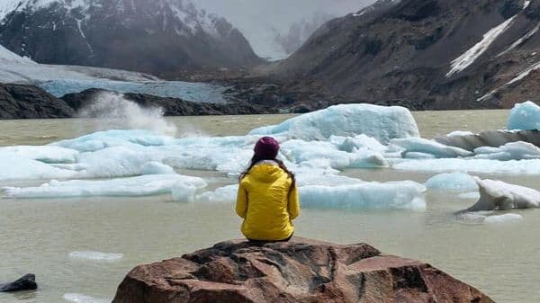 Грант ООН по окружающей среде и устойчивому развитию