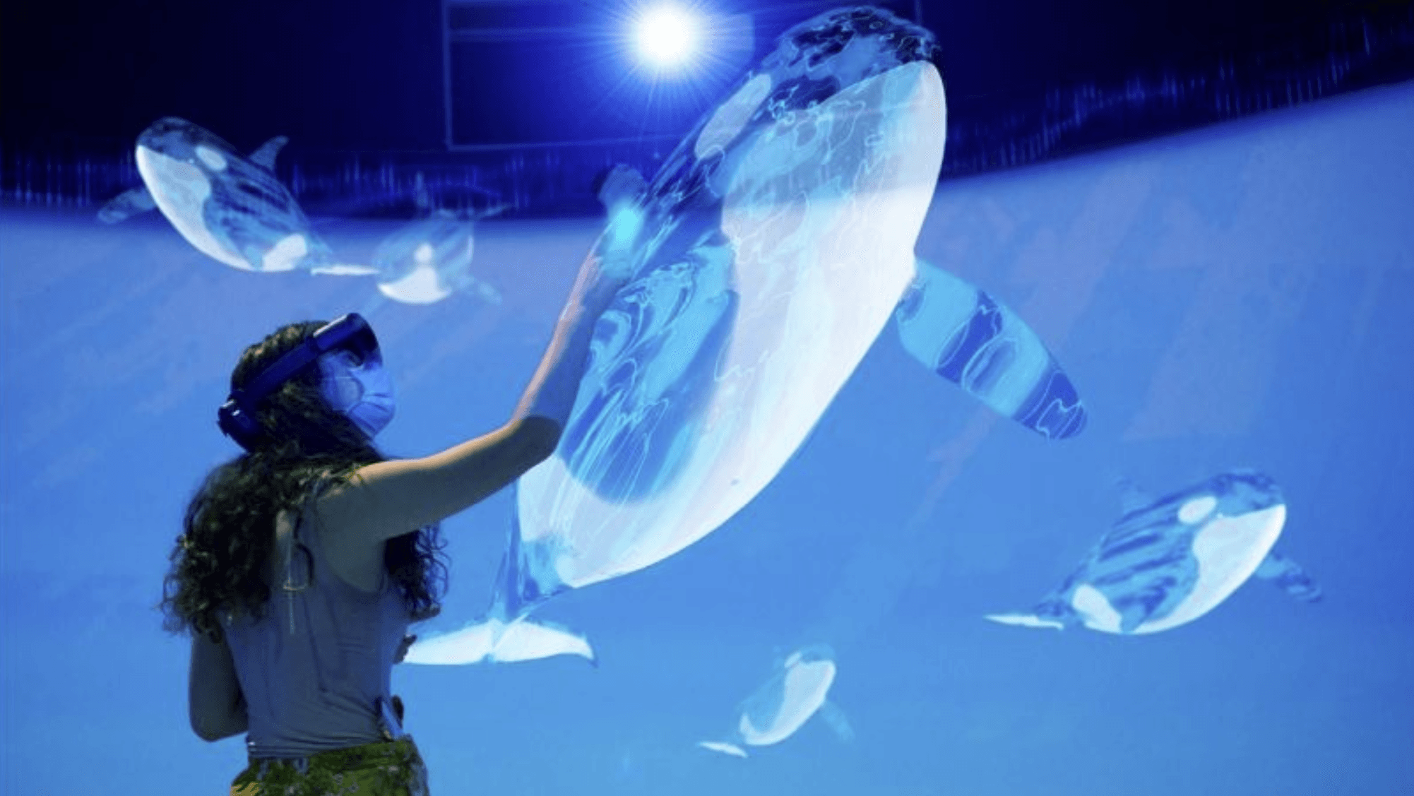 南部在住のオルカ